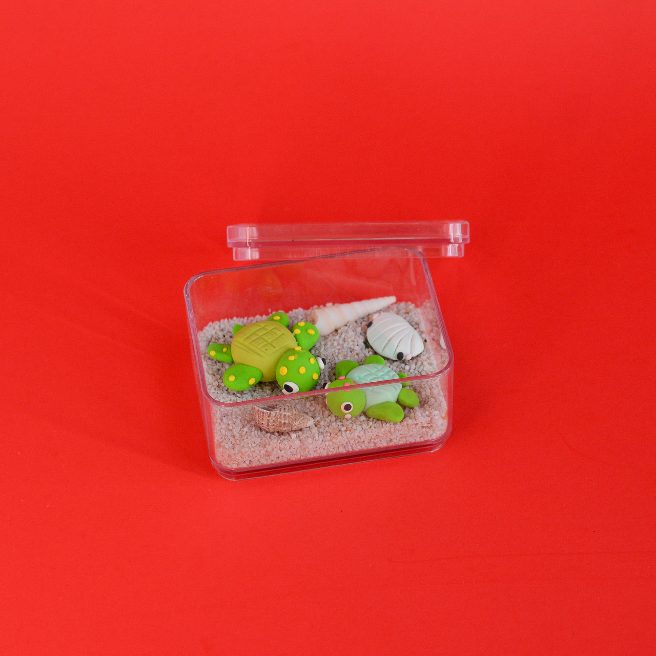 Turtle-tini Terrarium