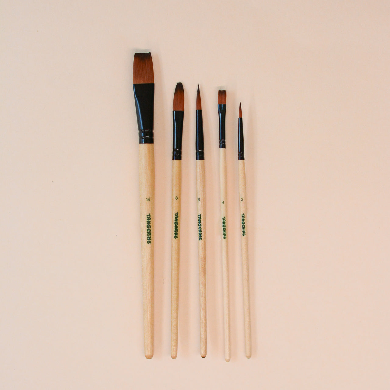 Paint Brush Set